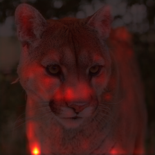 1054_9_attn.png