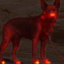 105_6_attn.png