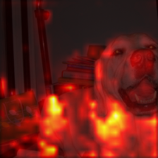 1060_0_attn.png