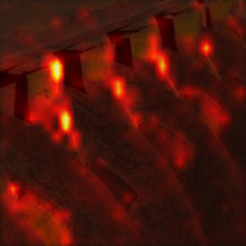 1061_0_attn.png