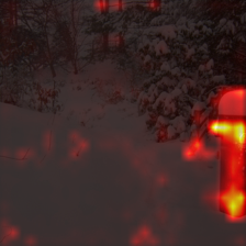 1065_0_attn.png