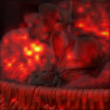 1067_0_attn.png