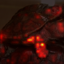 1074_9_attn.png