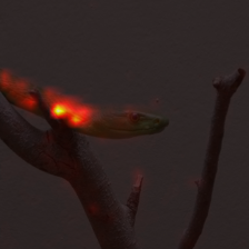 1077_1_attn.png