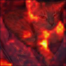 1078_1_attn.png