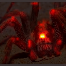 1082_5_attn.png