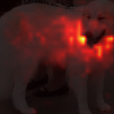 10_1_attn.png