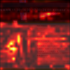 1100_3_attn.png
