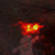 1102_0_attn.png