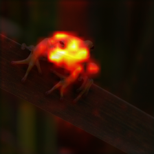 1108_0_attn.png