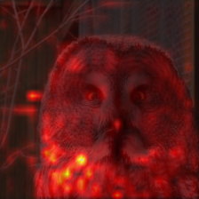 1108_7_attn.png