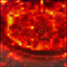 1108_9_attn.png