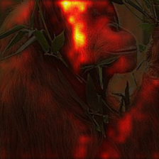 1110_1_attn.png