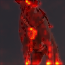 1110_7_attn.png