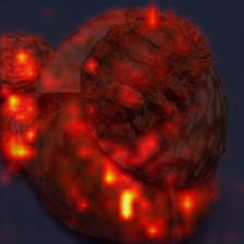 1119_2_attn.png