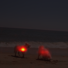 1128_5_attn.png