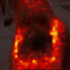 1133_2_attn.png