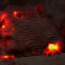 1146_0_attn.png