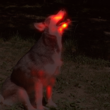 1146_1_attn.png