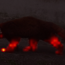 1146_3_attn.png