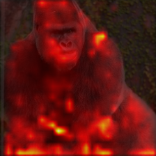 1146_8_attn.png