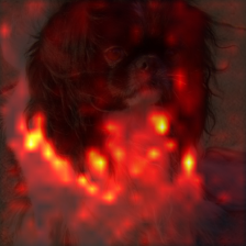 1149_0_attn.png