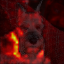 1149_1_attn.png
