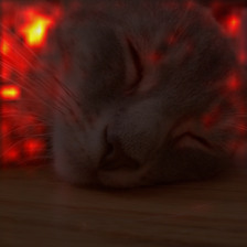 1149_5_attn.png