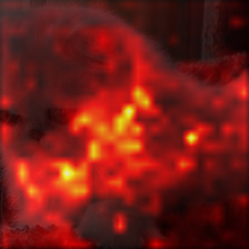 1149_9_attn.png