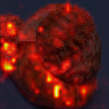114_6_attn.png