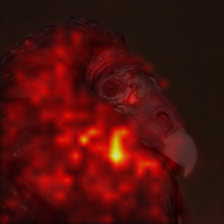 11_0_attn.png