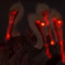 1231_0_attn.png