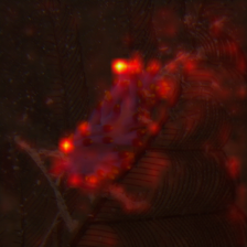 124_1_attn.png