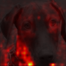 128_3_attn.png