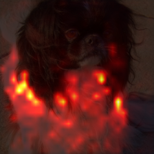 1343_1_attn.png