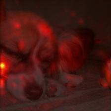 1343_3_attn.png