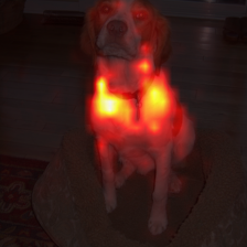 1343_8_attn.png