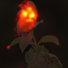 1344_1_attn.png
