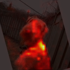 1345_4_attn.png