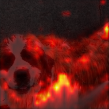 1345_7_attn.png