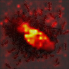 1345_9_attn.png