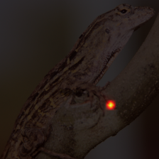 1346_5_attn.png