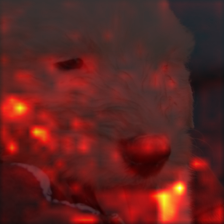 1346_7_attn.png