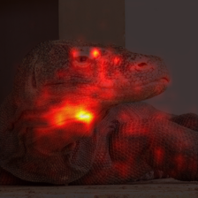 1349_0_attn.png