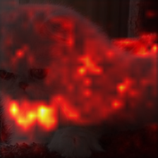 1349_1_attn.png