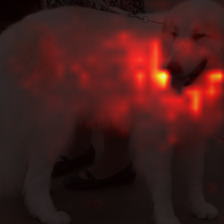 1350_1_attn.png