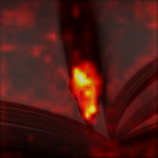 1353_0_attn.png
