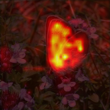 1354_1_attn.png
