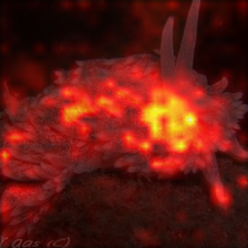 1354_3_attn.png
