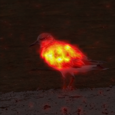1362_7_attn.png